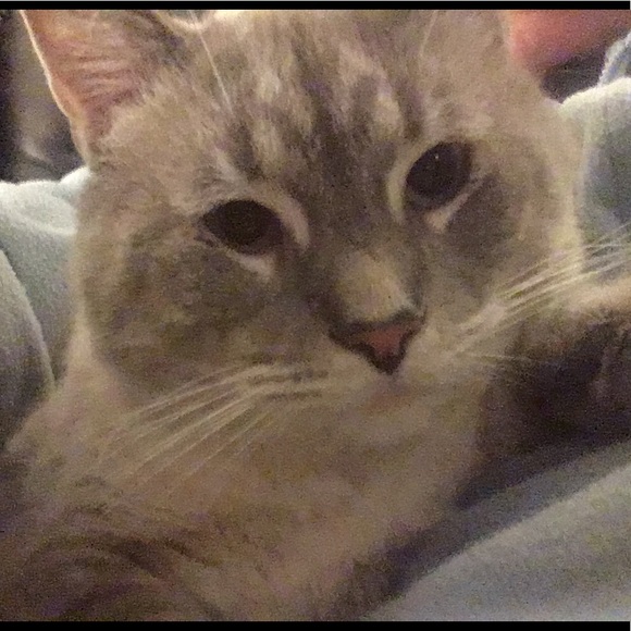 Stop in and say "Hi" :) - Picture 5 of 8